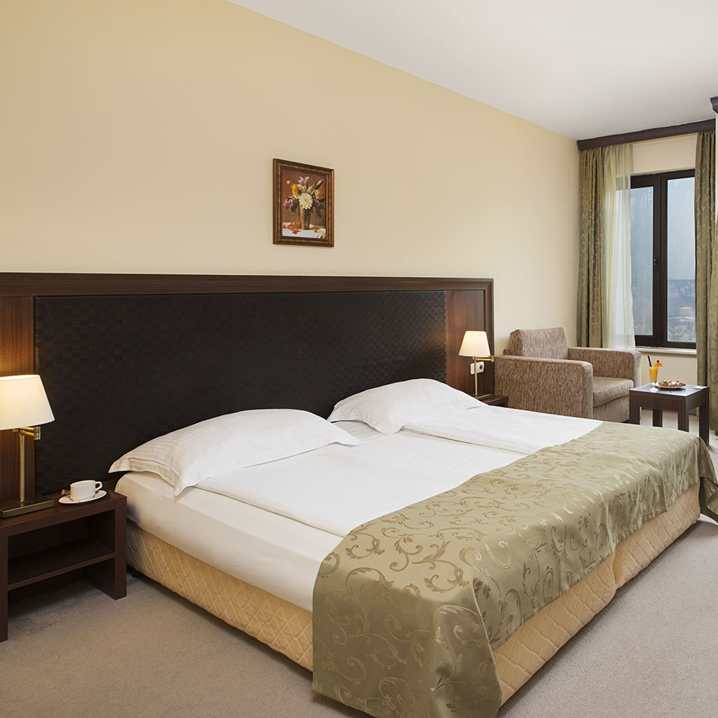 Cosiness in the double rooms of Balneo Hotel Saint Spas Velingrad with captivating views of nature around the hotel